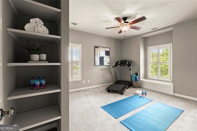 1286 Whisper Cove Dr, Buford, GA 30518 - exercise area with carpet and a ceiling fan