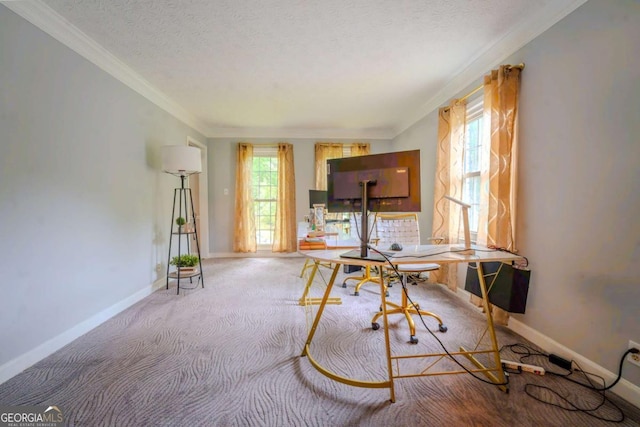5293 Sandy Shoals Ln, Stone Mountain, GA 30087 - carpeted office space with ornamental molding, a textured ceiling, and baseboards