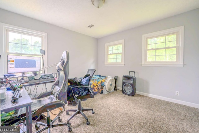 5293 Sandy Shoals Ln, Stone Mountain, GA 30087 - carpeted office space with baseboards