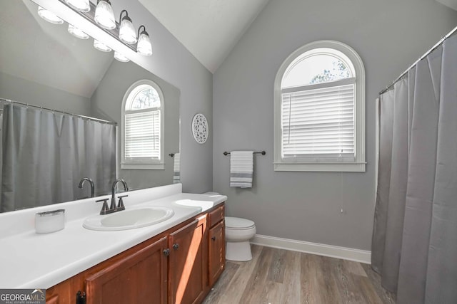 9001 E Carroll Rd, Winston, GA 30187 - full bath featuring vaulted ceiling, wood finished floors, vanity, toilet, and baseboards