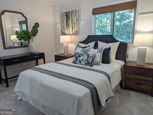 921 Oak Dr, Woodstock, GA 30189 - bedroom featuring carpet, a wainscoted wall, and ornamental molding