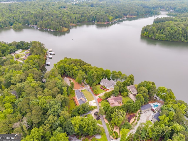 921 Oak Dr, Woodstock, GA 30189 - aerial view of a large body of water and a forest
