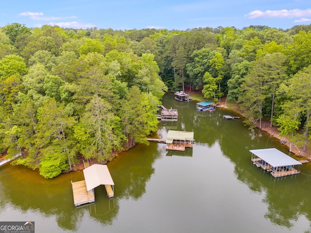 921 Oak Dr, Woodstock, GA 30189 - aerial view of a forest and a large body of water