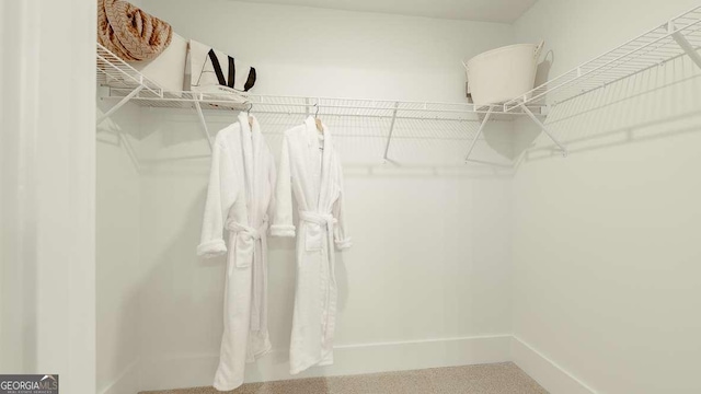 view of walk in closet