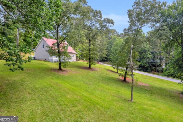 188 Mayapple Gln, Dawsonville, GA 30534 - view of grassy yard