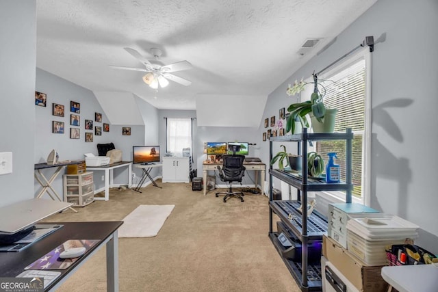 188 Mayapple Gln, Dawsonville, GA 30534 - carpeted home office featuring a ceiling fan and a textured ceiling