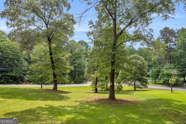 188 Mayapple Gln, Dawsonville, GA 30534 - view of home's community with a yard