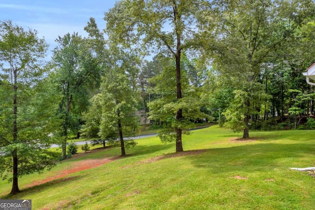 188 Mayapple Gln, Dawsonville, GA 30534 - view of community featuring a yard