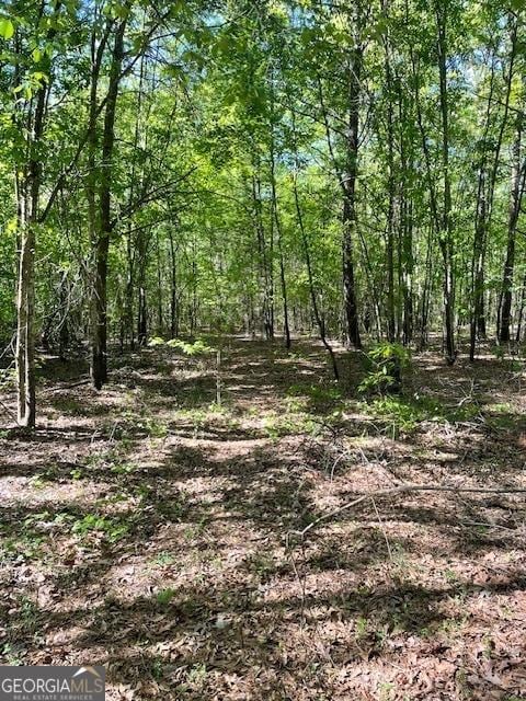 10.35 Cannafax Rd, Barnesville, GA 30204