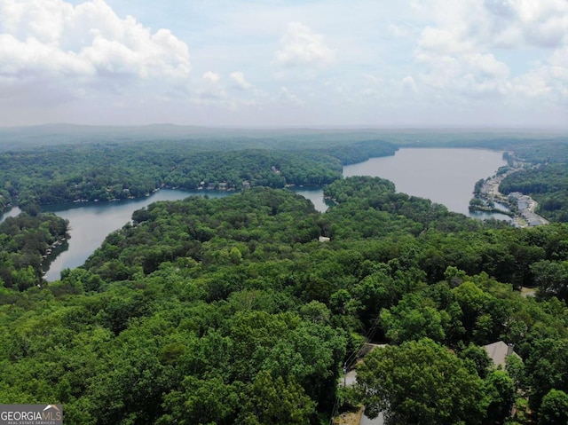 aerial view of a forest and a large body of water