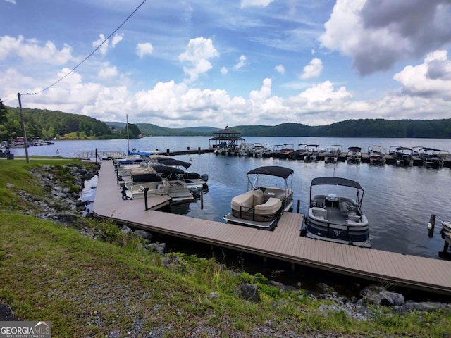 dock with a water view