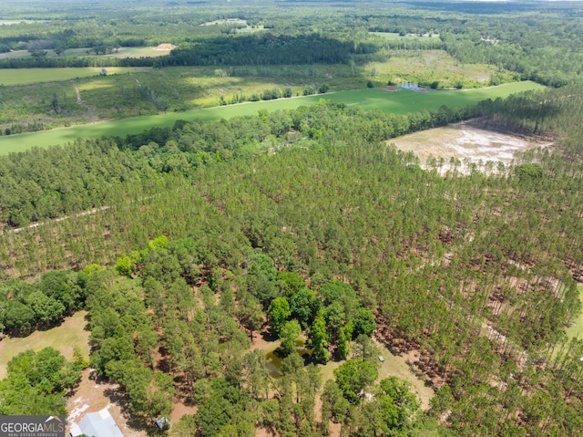 0 Bub Ln, Ellabell, GA 31308