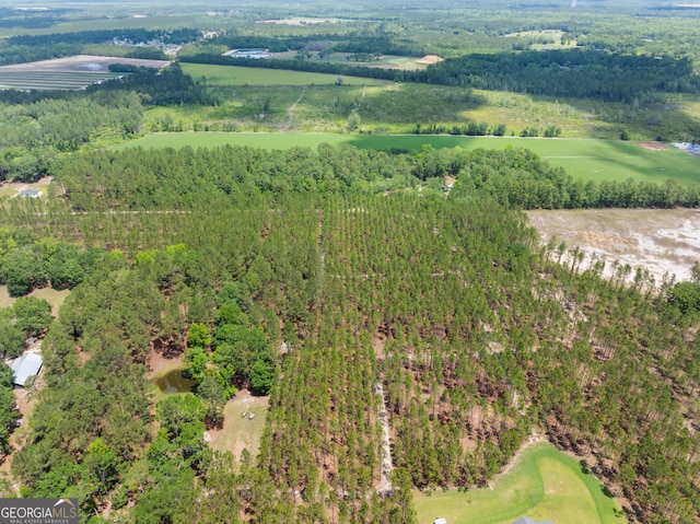 0 Bub Ln, Ellabell, GA 31308