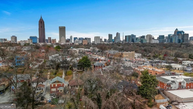 650 Glen Iris Dr NE Unit 27, Atlanta, GA 30308 - skyline view