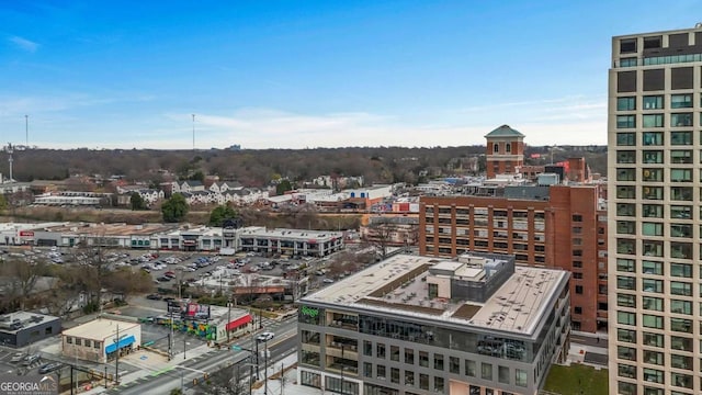 650 Glen Iris Dr NE Unit 27, Atlanta, GA 30308 - city view
