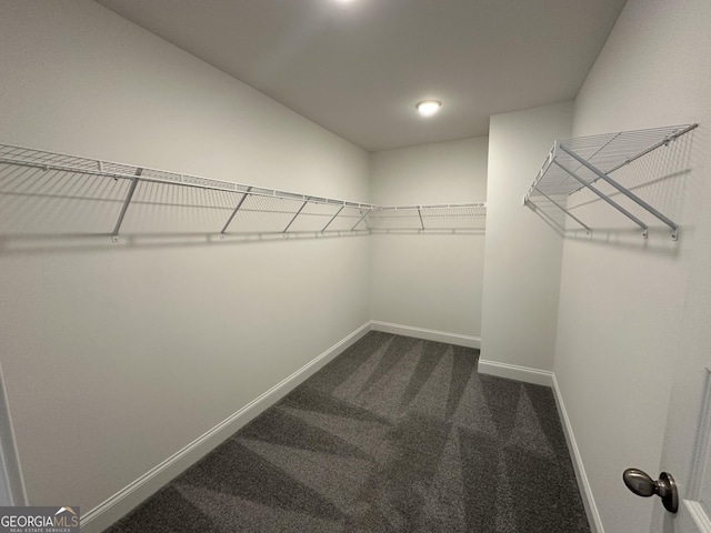 spacious closet with dark colored carpet
