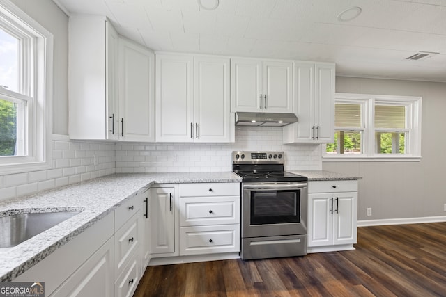 1766 Washington Hwy, Elberton, GA 30635 - kitchen featuring stainless steel electric range oven, under cabinet range hood, dark wood-style flooring, and tasteful backsplash