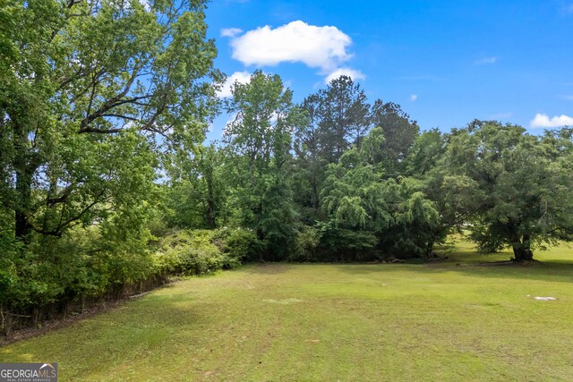 1766 Washington Hwy, Elberton, GA 30635 - view of green lawn