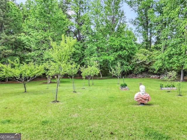 377 Parker Rd, Mcdonough, GA 30252 - view of green lawn