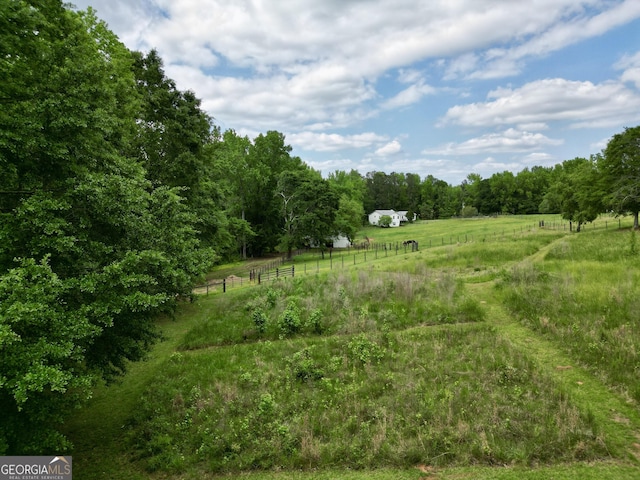 377 Parker Rd, Mcdonough, GA 30252 - view of yard with a view of countryside