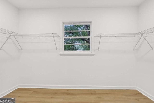 2765 Ocean Valley Dr, Atlanta, GA 30349 - walk in closet with light wood finished floors