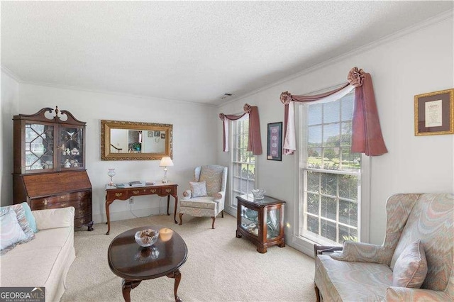 3472 Honeycomb Dr SE, Conyers, GA 30094 - living room featuring a textured ceiling, carpet, and ornamental molding