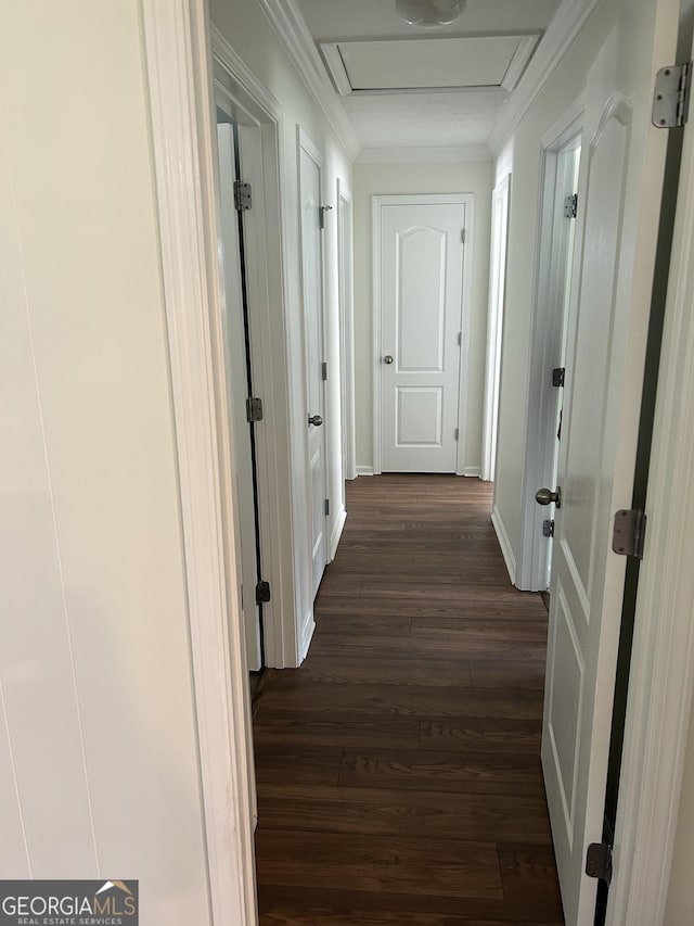 113 Ausband Dr, Mcdonough, GA 30253 - corridor with attic access, crown molding, dark wood-style floors, and baseboards