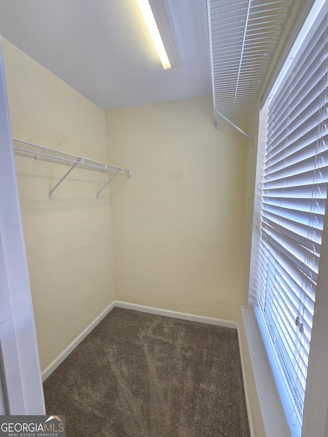 4677 Liberty Square Dr, Acworth, GA 30101 - walk in closet with carpet