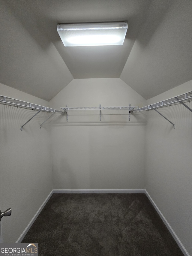 4677 Liberty Square Dr, Acworth, GA 30101 - spacious closet with dark colored carpet and lofted ceiling