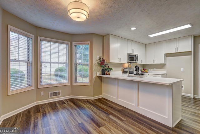 221 Ashley Oaks Dr, Mcdonough, GA 30253 - kitchen with stainless steel microwave, light countertops, baseboards, dark wood-style flooring, and a textured ceiling
