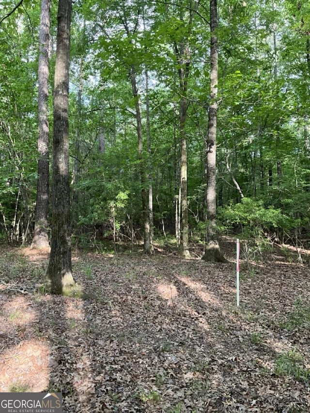 1951 Armour Bridge Rd, Greensboro, GA 30642