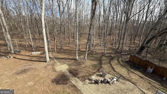 297 Old Clarkesville Mill Rd, Clarkesville, GA 30523 - view of yard