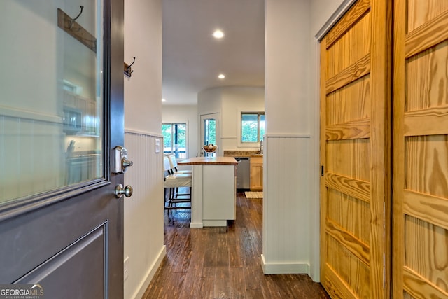4610 Murray Cove Rd, Tiger, GA 30576 - hall featuring a wainscoted wall, dark wood-style flooring, and recessed lighting