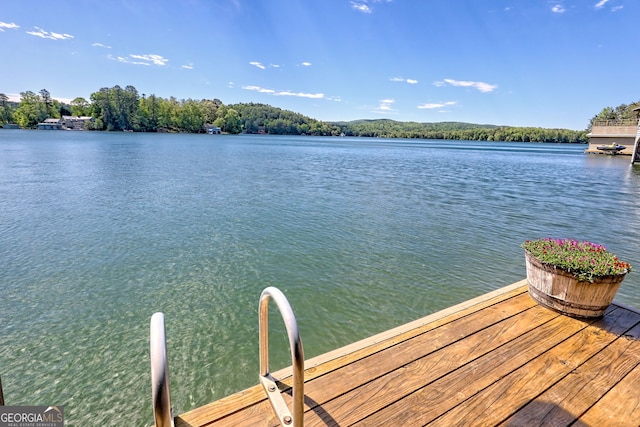 4610 Murray Cove Rd, Tiger, GA 30576 - dock area with a water view