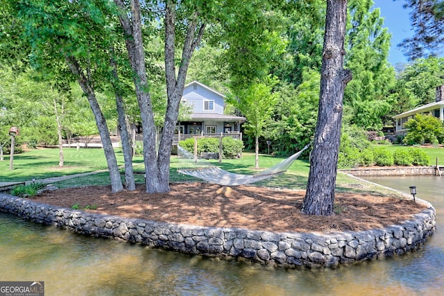 4610 Murray Cove Rd, Tiger, GA 30576 - back of property with a lawn and a water view
