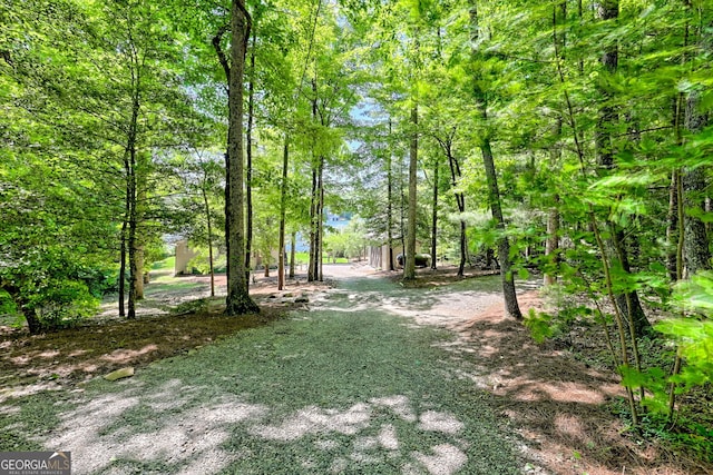 4610 Murray Cove Rd, Tiger, GA 30576 - view of yard