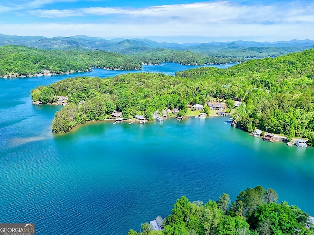 4610 Murray Cove Rd, Tiger, GA 30576 - bird's eye view of a forest and a water and mountain view