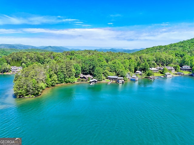 4610 Murray Cove Rd, Tiger, GA 30576 - bird's eye view of a forest and a water and mountain view