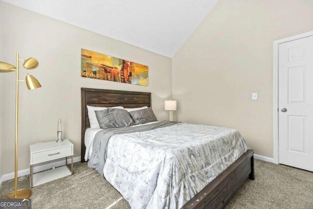11072 Pebble Ridge Dr, Hampton, GA 30228 - bathroom with vanity, wood finished floors, and a shower with curtain