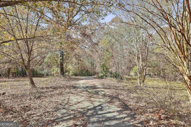 140 Shoal Creek Rd, Griffin, GA 30223 - view of road with a wooded view