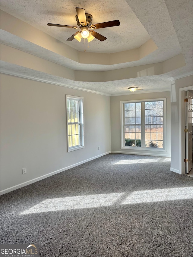 410 Oakpark Ter, Mcdonough, GA 30253 - unfurnished room with a tray ceiling, a textured ceiling, healthy amount of natural light, baseboards, and crown molding