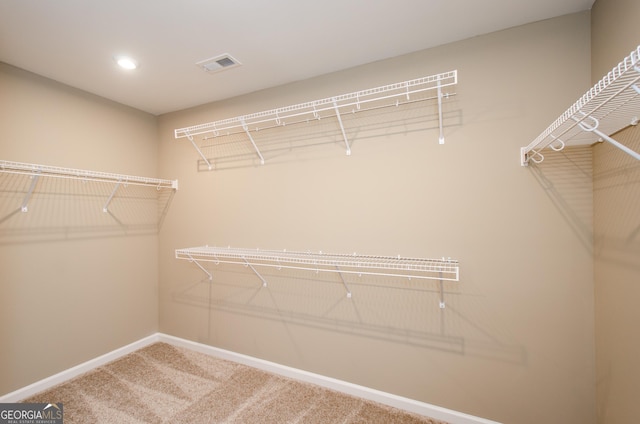 8555 Scenic Ridge Way, Ball Ground, GA 30107 - spacious closet featuring carpet