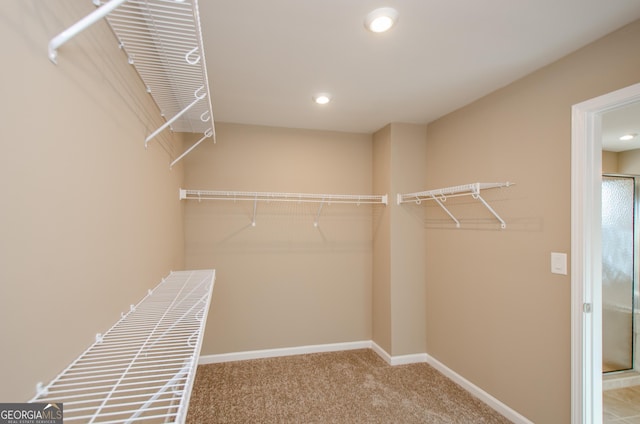 8555 Scenic Ridge Way, Ball Ground, GA 30107 - spacious closet featuring carpet