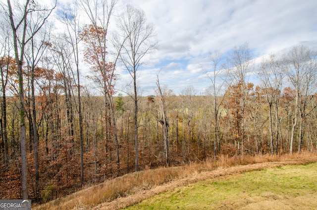 8555 Scenic Ridge Way, Ball Ground, GA 30107 - view of wooded area