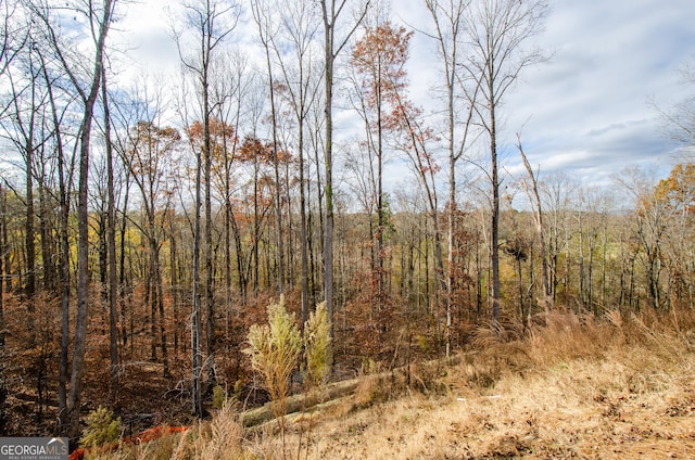 8555 Scenic Ridge Way, Ball Ground, GA 30107 - view of tree filled area