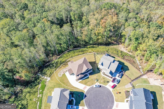8555 Scenic Ridge Way, Ball Ground, GA 30107 - aerial view of a heavily wooded area