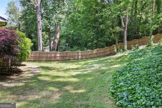 184 Rambo Pl SW, Marietta, GA 30064 - view of yard