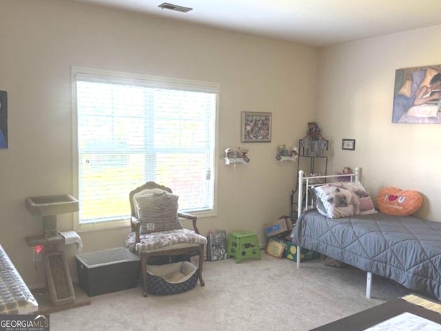 7613 Mockernut Way, Midland, GA 31820 - bedroom with multiple windows and carpet floors