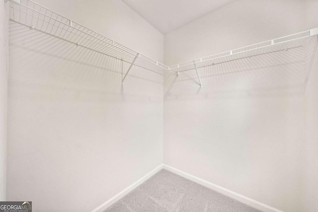 724 Broken Arrow, Waleska, GA 30183 - walk in closet with carpet flooring