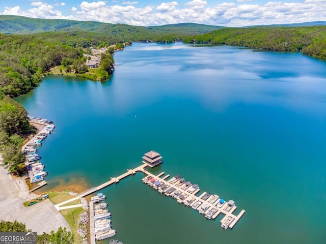 724 Broken Arrow, Waleska, GA 30183 - drone / aerial view of a forest and a large body of water